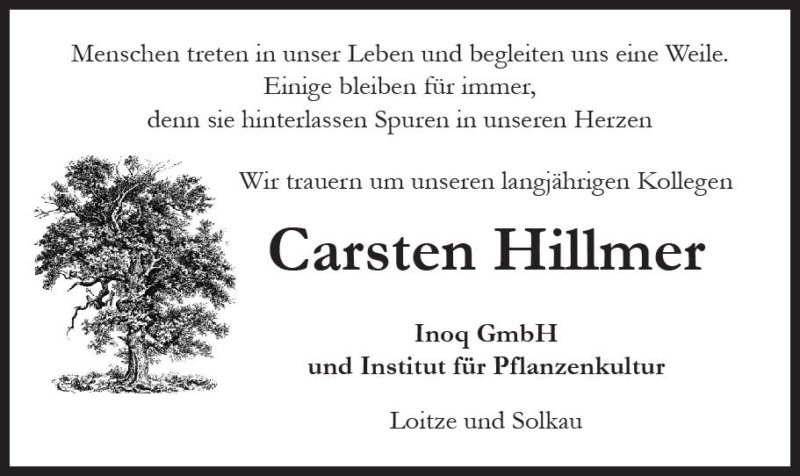 Carsten Hillmer