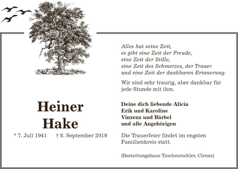 Heiner Hake